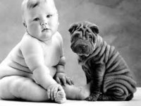 /album/galeria-de-fotos-procura-se-obesos-/nenem-gordo-jpg/